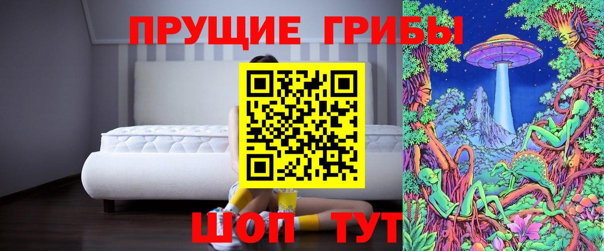 Псилоцибиновые грибы Cubensis Карталы