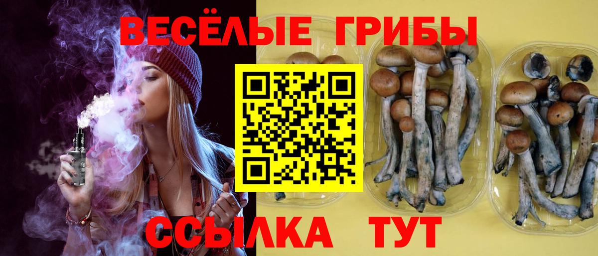 где найти   Галлюциногенные грибы мухоморы  Вход с VPN  Карталы 